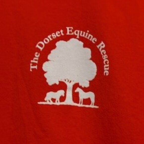 Dorset Equine Rescue T-shirt, Colorful orange, 100% Ultra Cotton, Size Medium - Picture 3 of 6